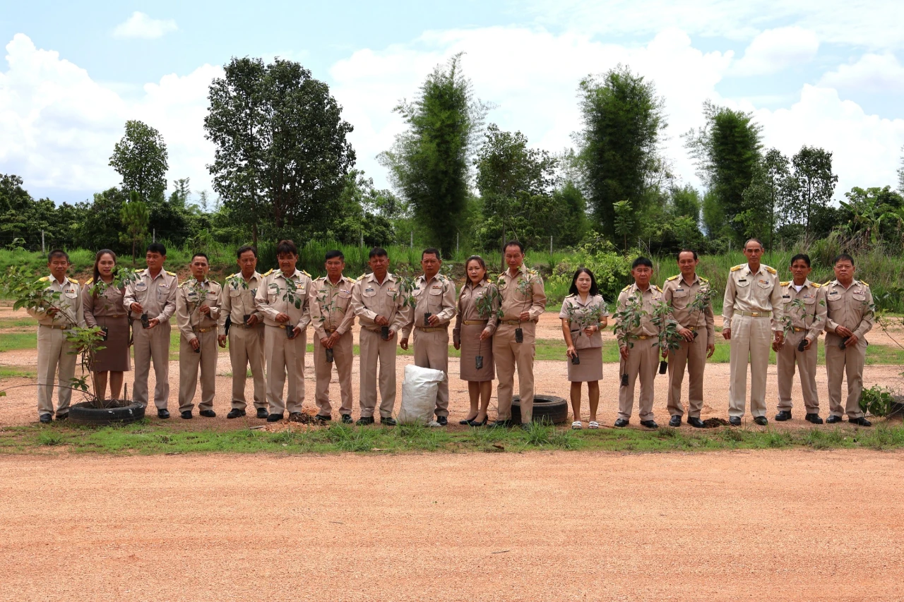 catalogs_file_642_15_59_849893.webp